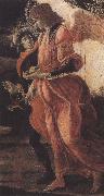 Sandro Botticelli Trinity with Mary Magdalene,St john the Baptist,Tobias  and the Angel (mk36) oil